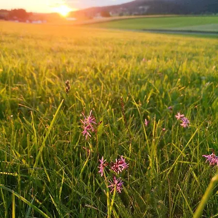 Apartman Boehmerwald Pur2 Mit Sauna *