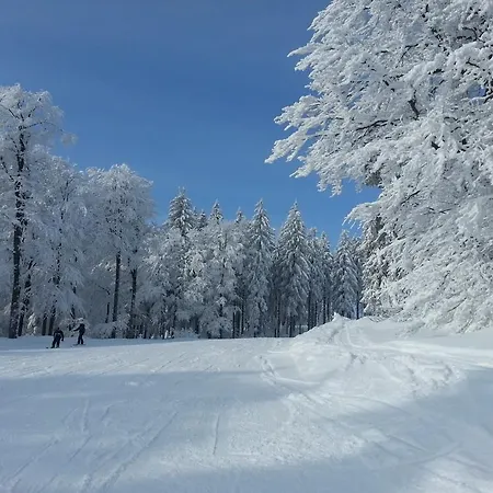 Apartman Boehmerwald Pur2 Mit Sauna Klaffer am Hochficht