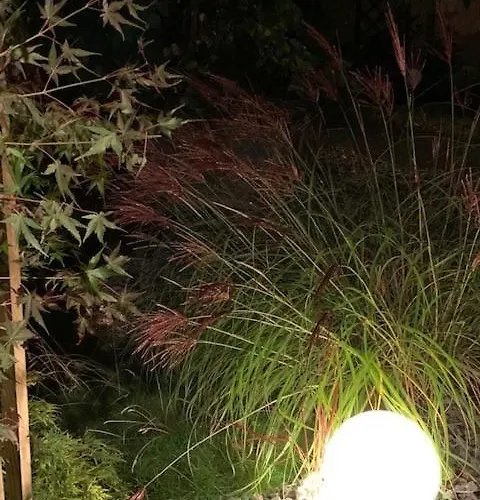 Böhmerwald Pur2 Mit Sauna Apartment *