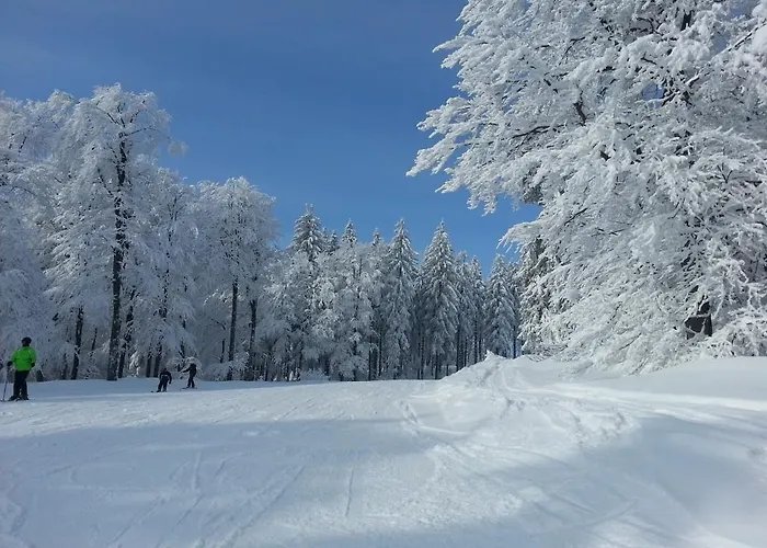 Apartment Böhmerwald Pur2 Mit Sauna Klaffer am Hochficht