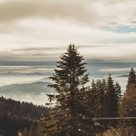 公寓 Boehmerwald Pur2 Mit Sauna 霍赫菲希特山麓克拉弗尔