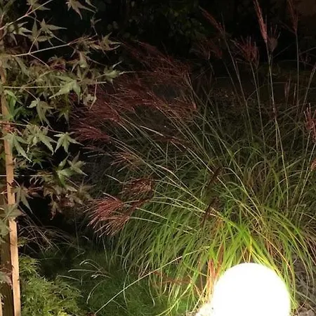 Boehmerwald Pur2 Mit Sauna 公寓 *