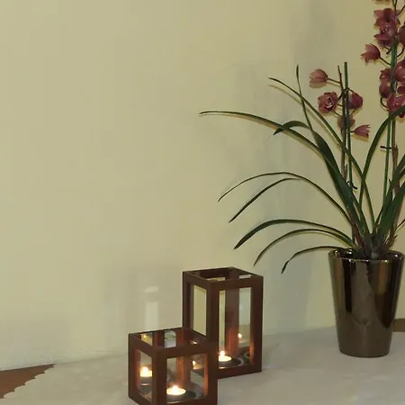 Boehmerwald Pur2 Mit Sauna 霍赫菲希特山麓克拉弗尔