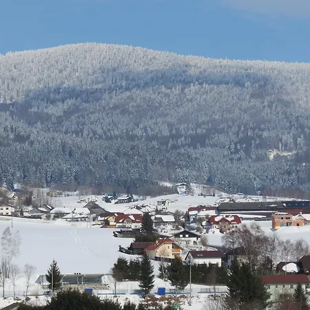 公寓 Boehmerwald Pur2 Mit Sauna