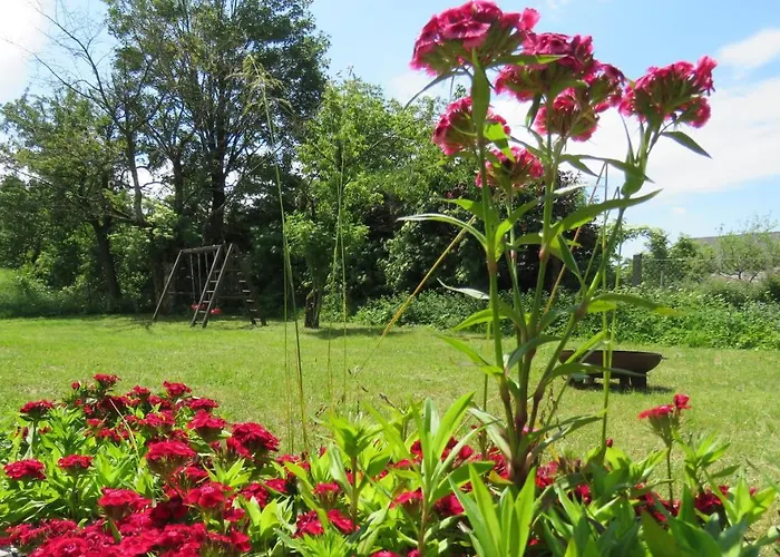 Boehmerwald Pur2 * 클라퍼 암 호흐피히트