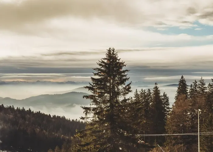 아파트 Boehmerwald Pur2 클라퍼 암 호흐피히트